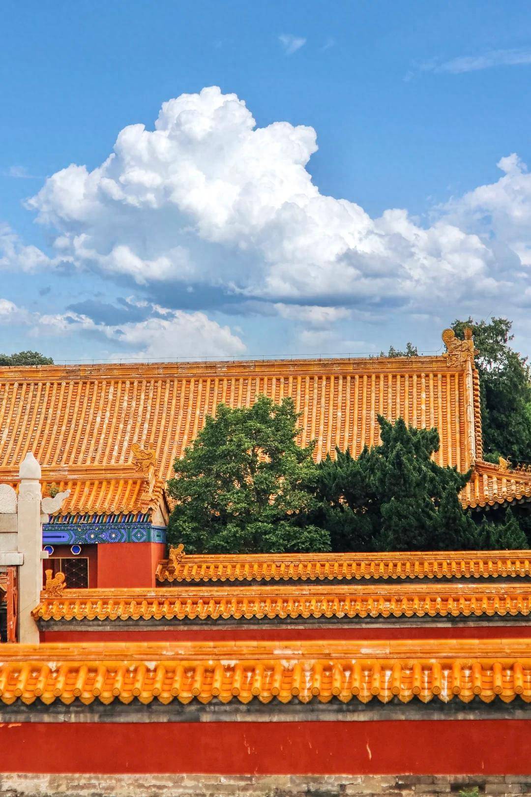 一家成团全程服务这俩旅行社绝了！新葡京娱乐城高端定制游大揭秘！