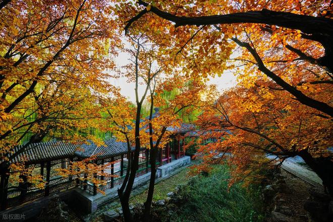 十大口碑旅行社！好途旅游零投诉领跑大揭秘新葡京娱乐场app2025北京高端定制游(图4)